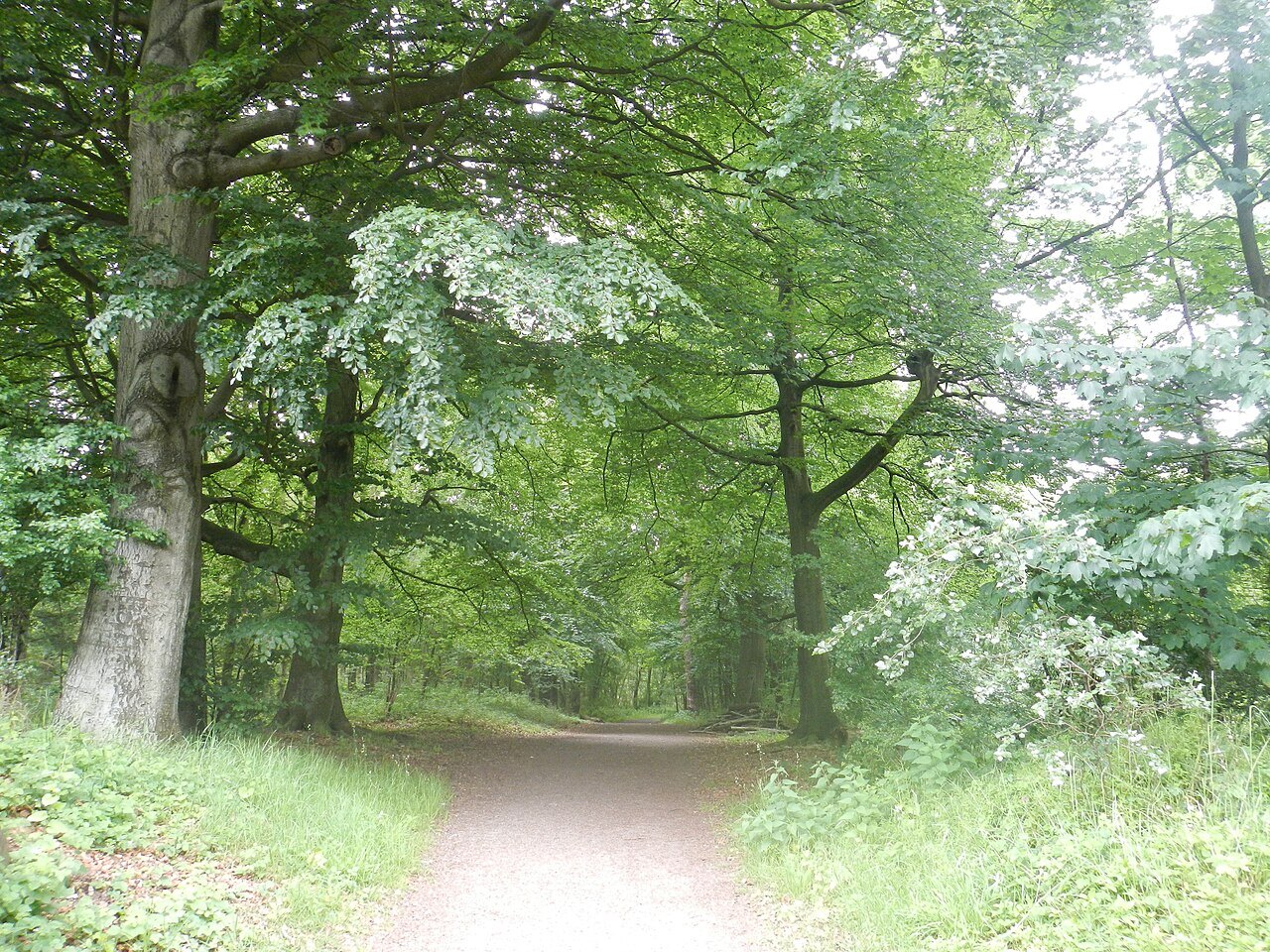 Fietsen door de polders — Natuur in Knokke-Heist